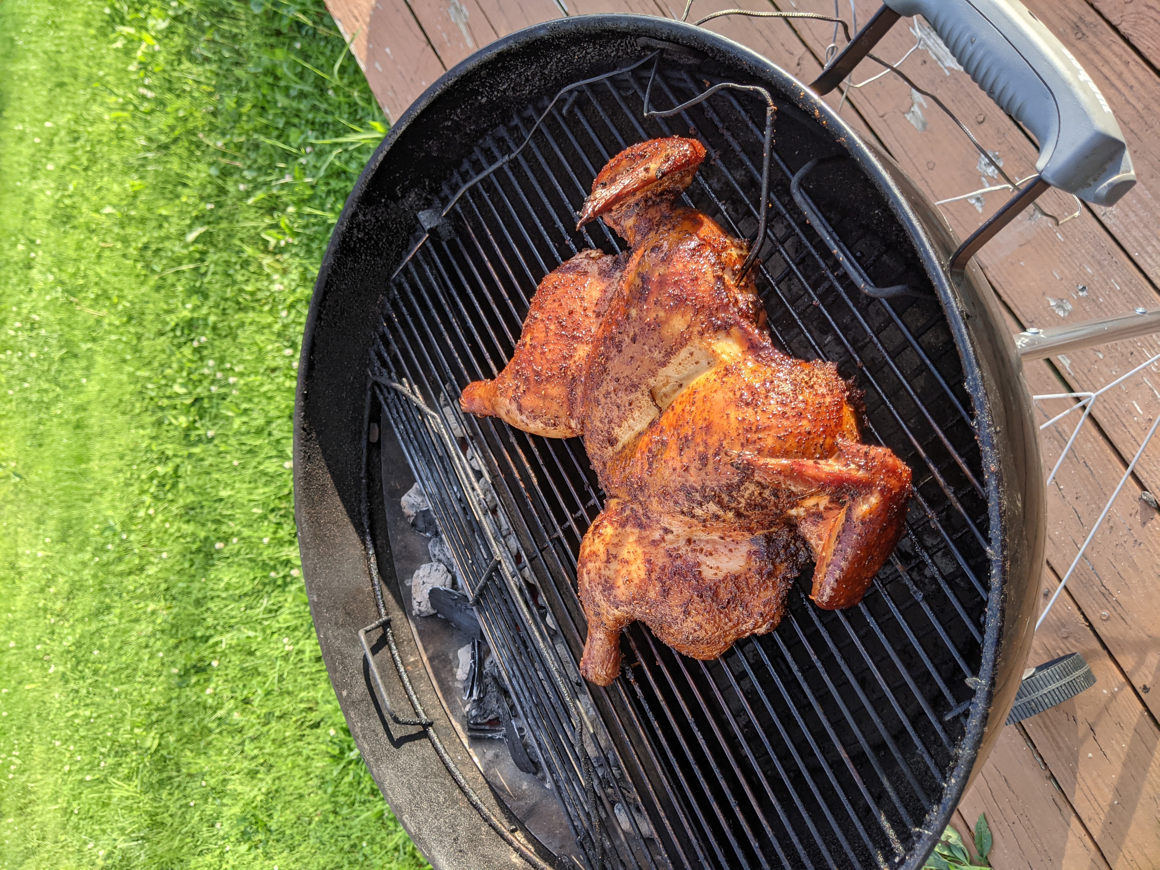 A chicken undergoing a test run to this method, but oriented super backwards. A chicken being cooking in the opposite of the correct way